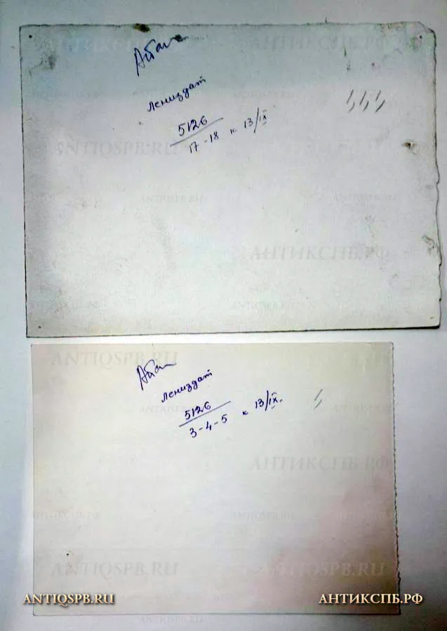 Рисунки "Александринский театр" и "Мариинский дворец". Бумага, тушь, перо. Сер. ХХ века. СССР. №17339.105